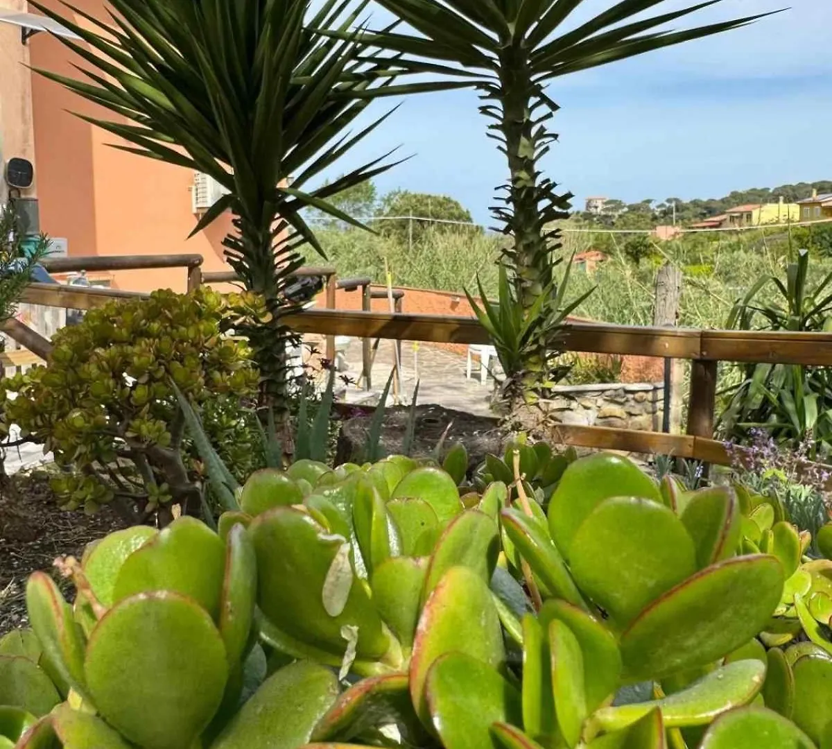 Apartment Casa Vanna Marciana